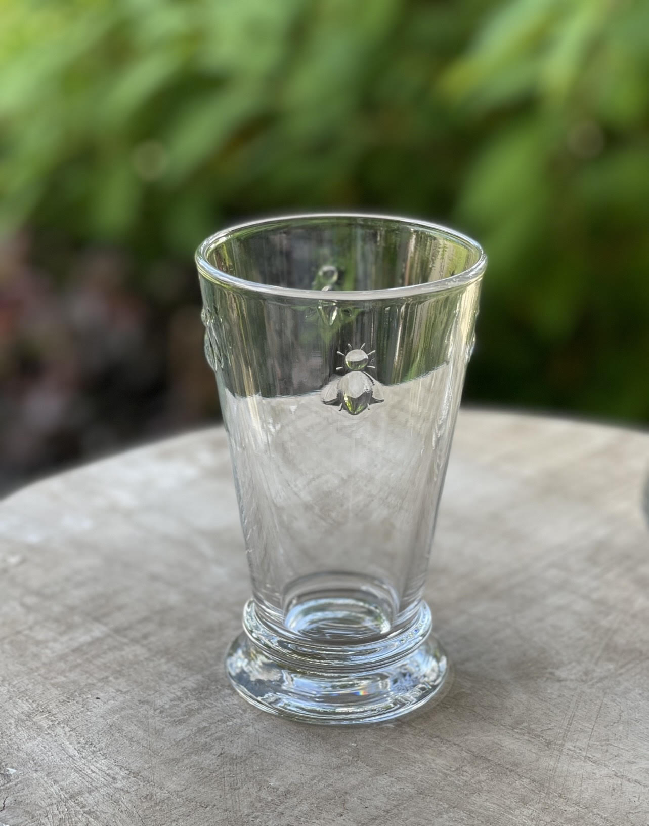 Bee Highball Glasses, Set of 6