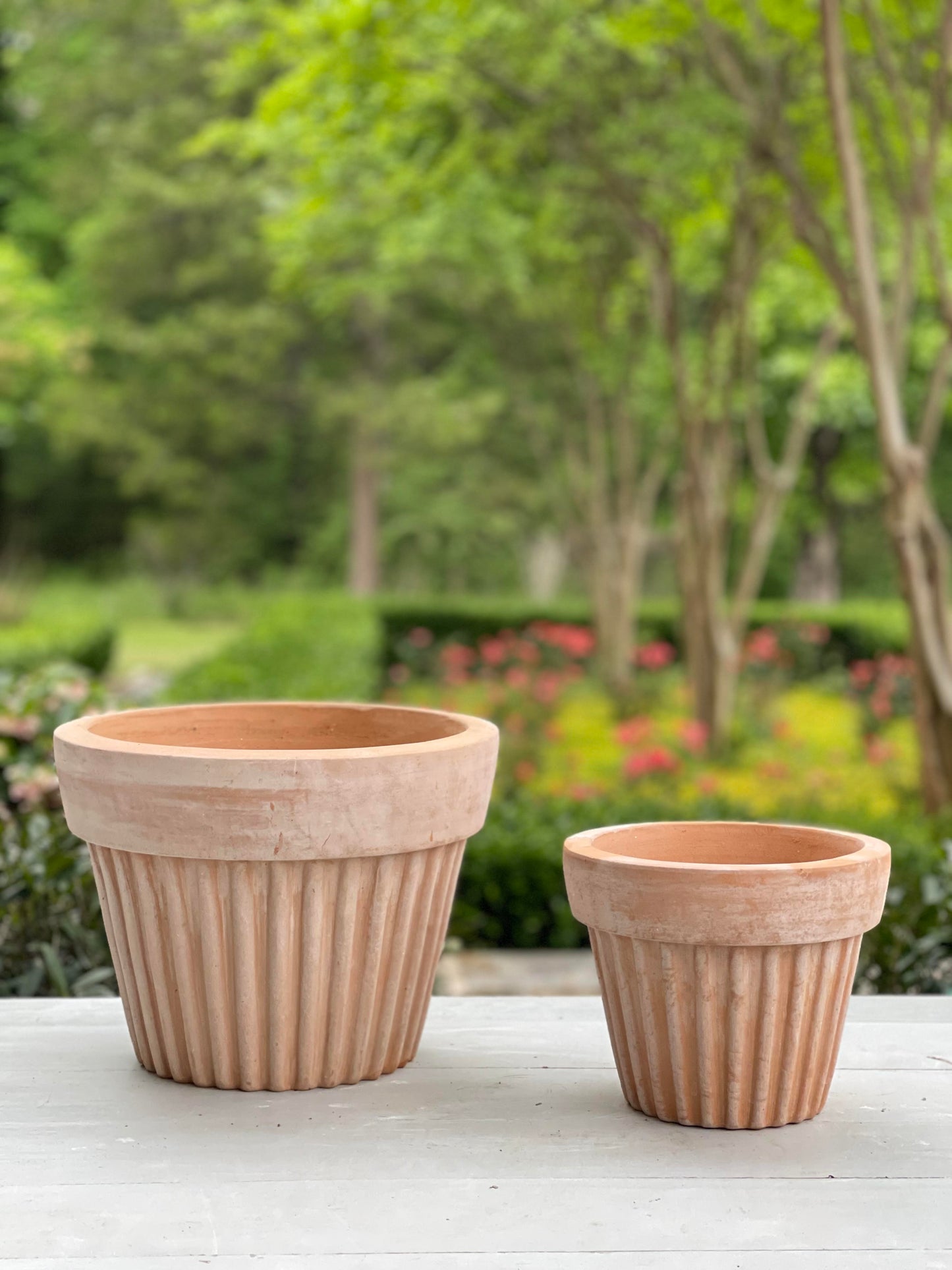 Wave Terra Cotta Pot - Small