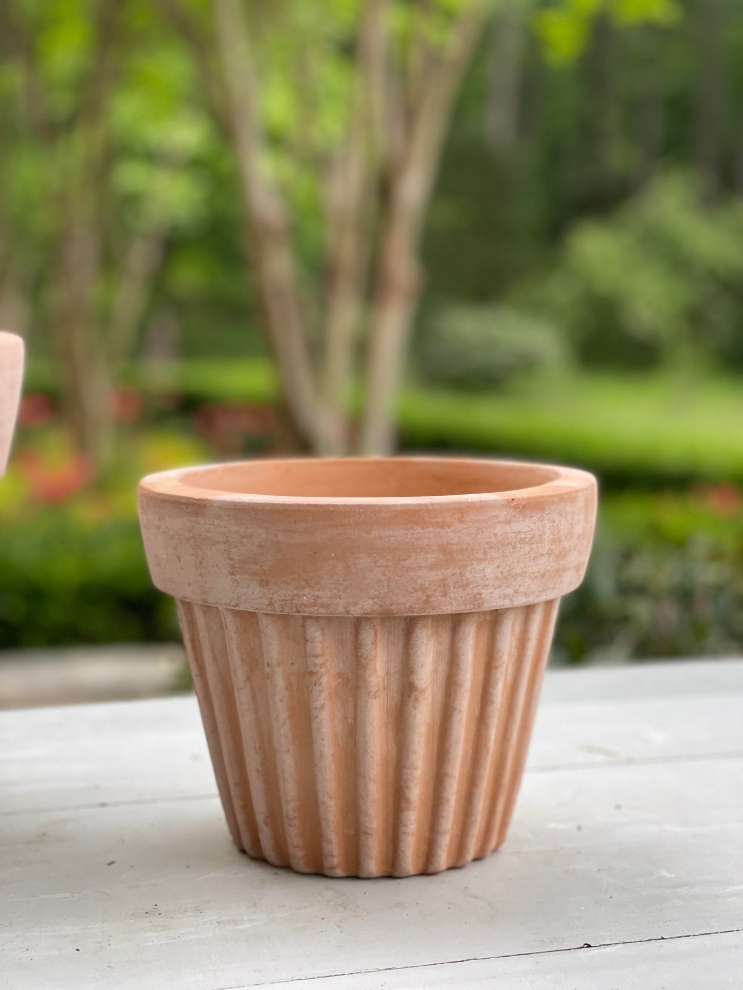 Wave Terra Cotta Pot - Small