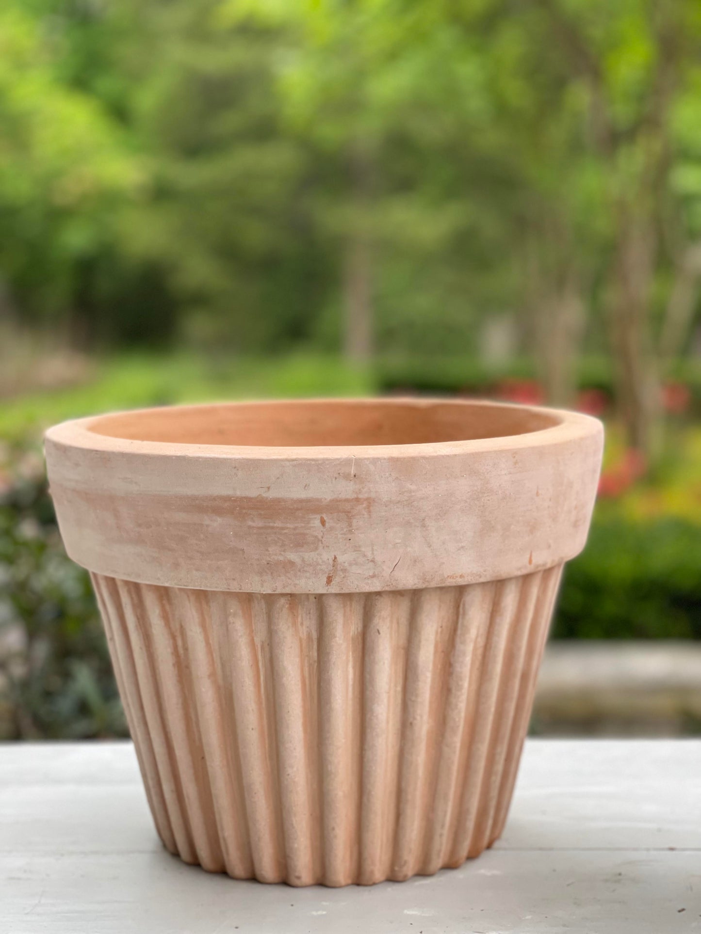 Wave Terra Cotta Pot - Medium