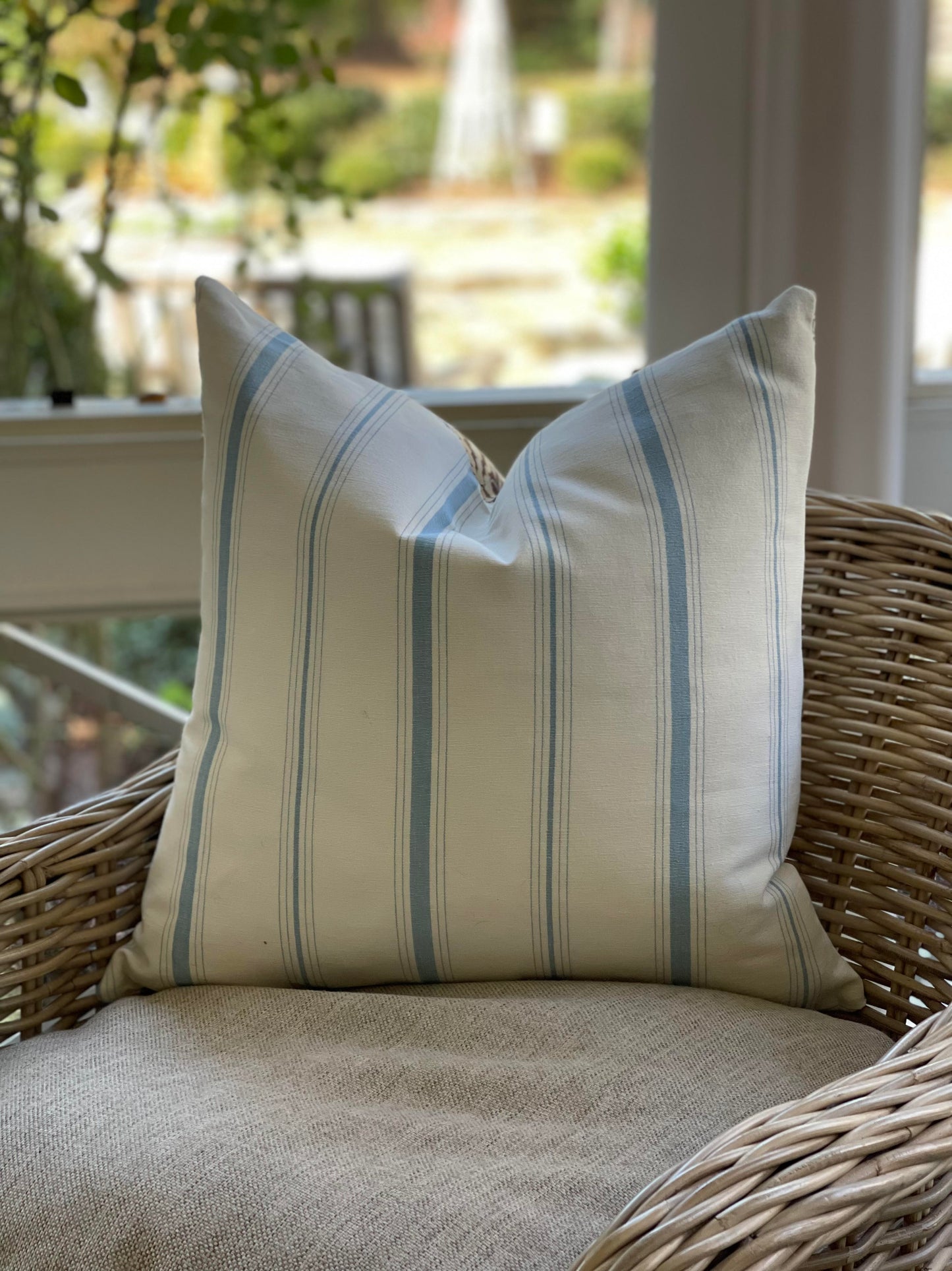 Botanical Potted Pillow with Stripe Backing