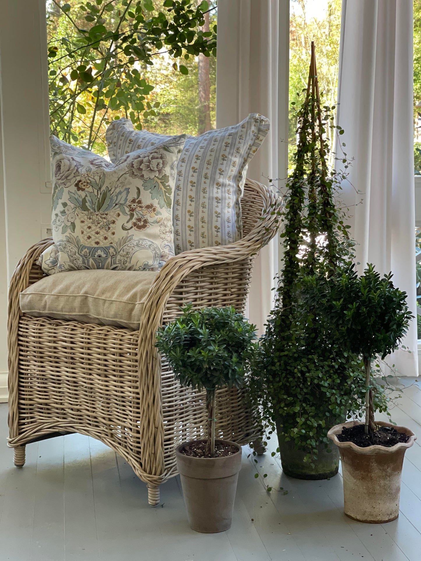 Botanical Potted Pillow with Stripe Backing