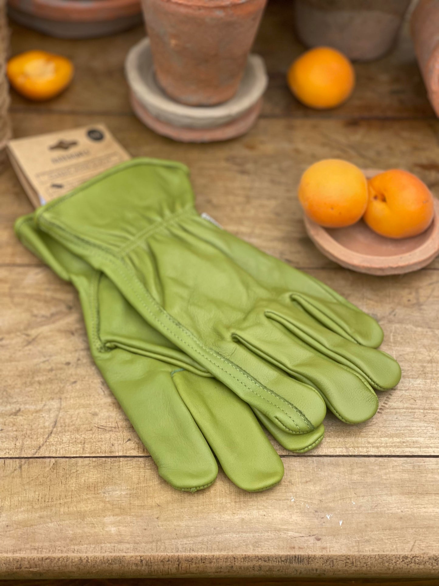 Olive Garden Gloves