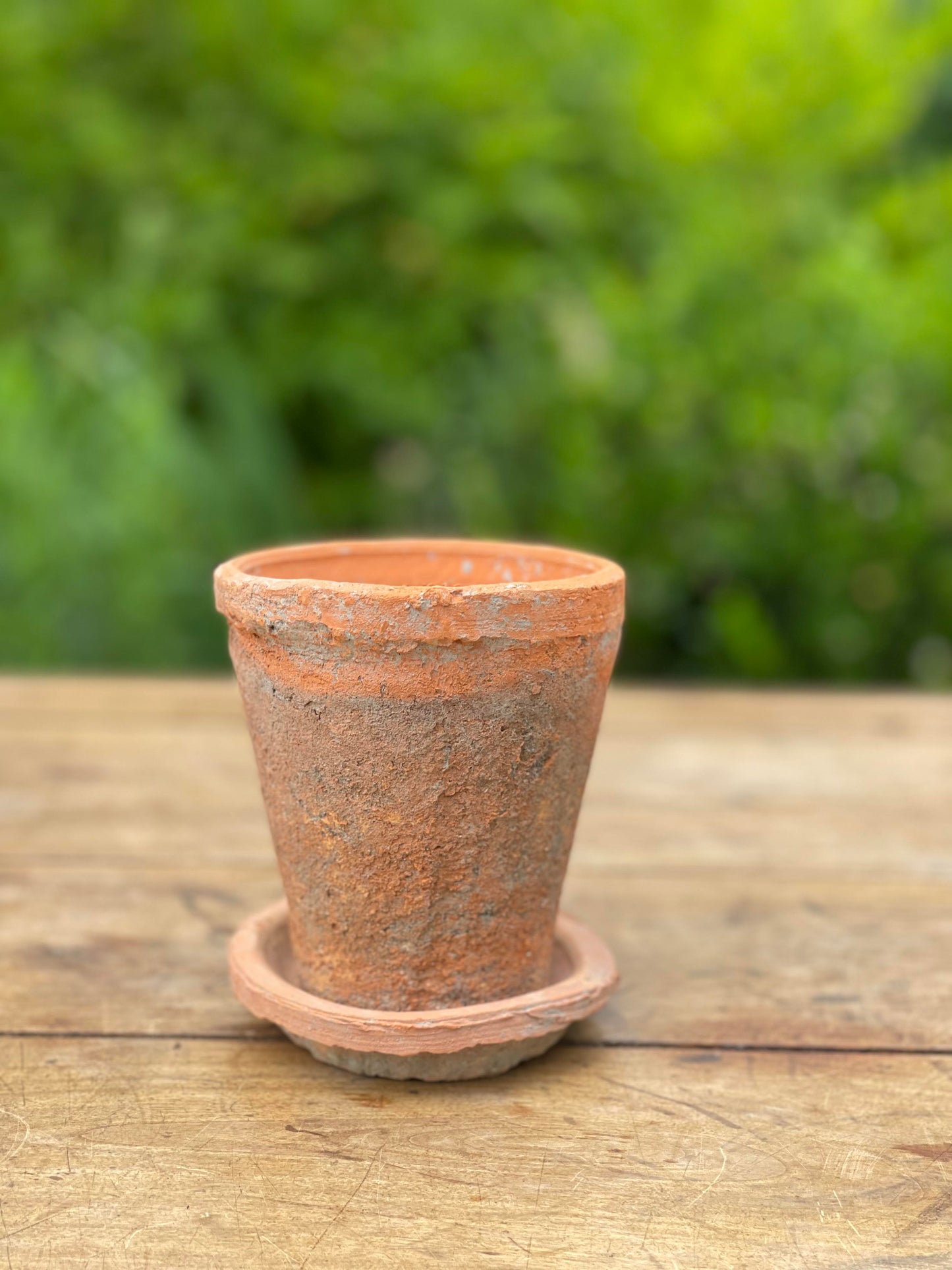 Terra Cotta & Water Dish - Small