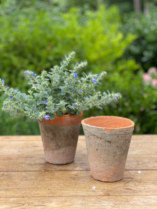 Terra Cotta Pot - Medium