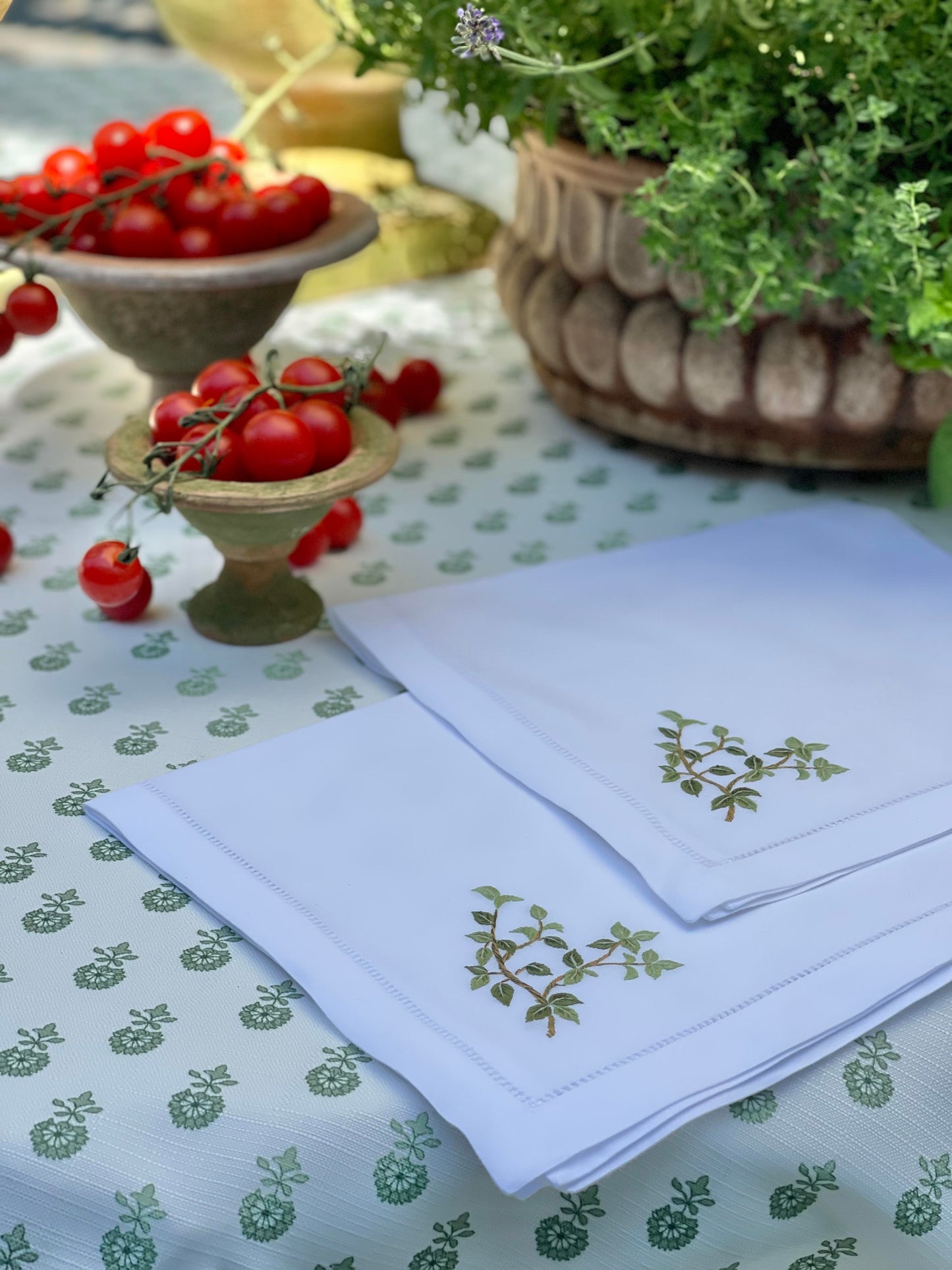 Embr'd Oregano Hemstitch Napkin