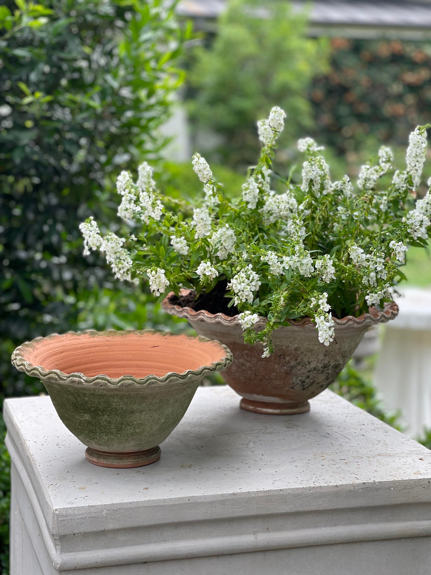 Pie Crust Bowl - Large