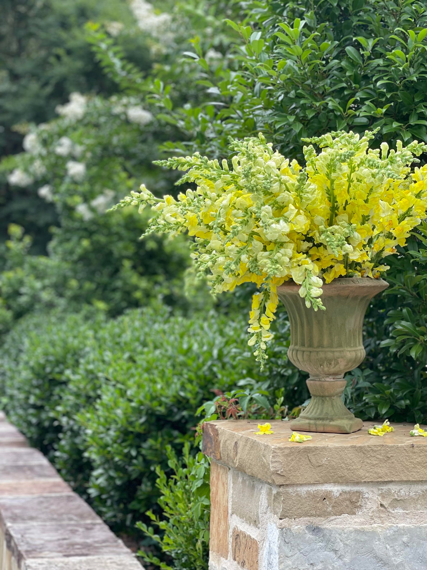 Patina Aged Vase Urn