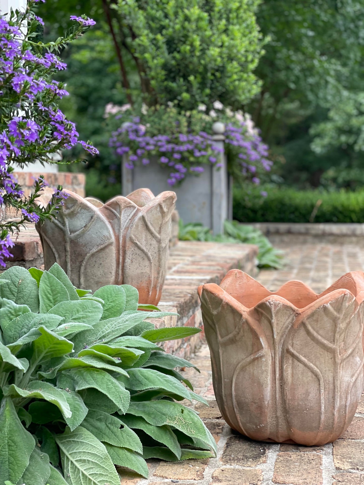 Aged Terra Cotta Clematis Container