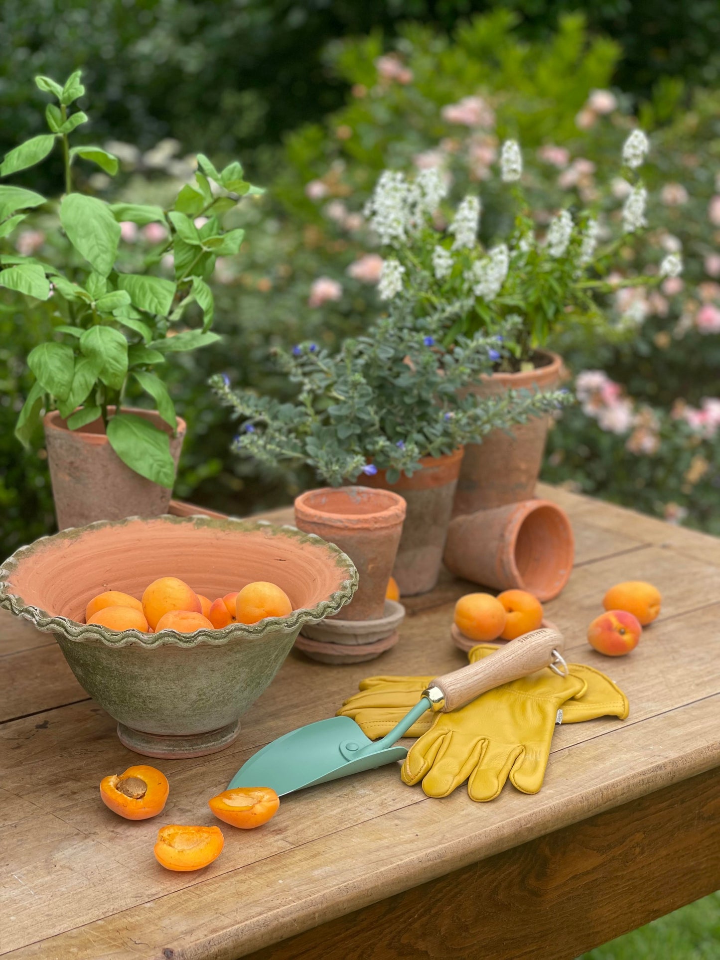 Garden Trowel