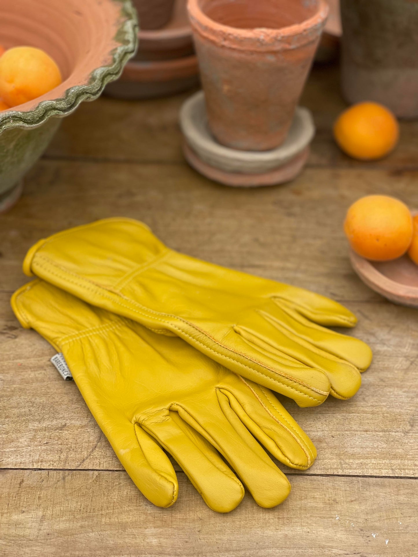 Yellow Garden Gloves