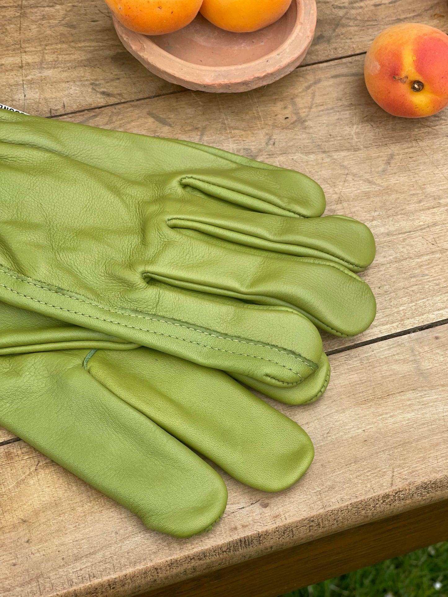 Olive Garden Gloves