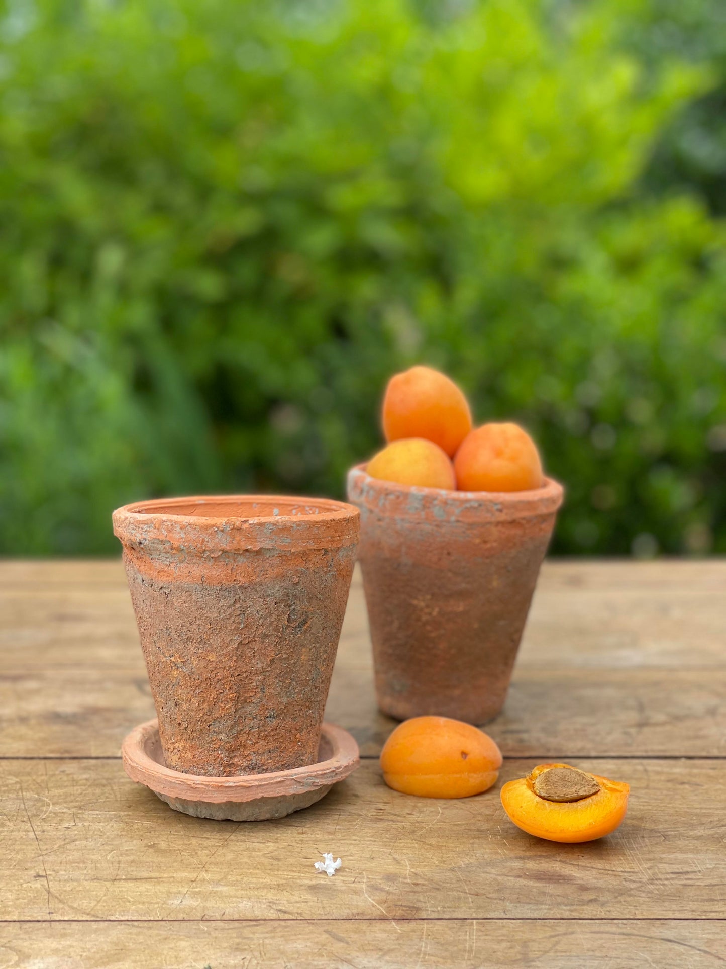 Terra Cotta & Water Dish - Small