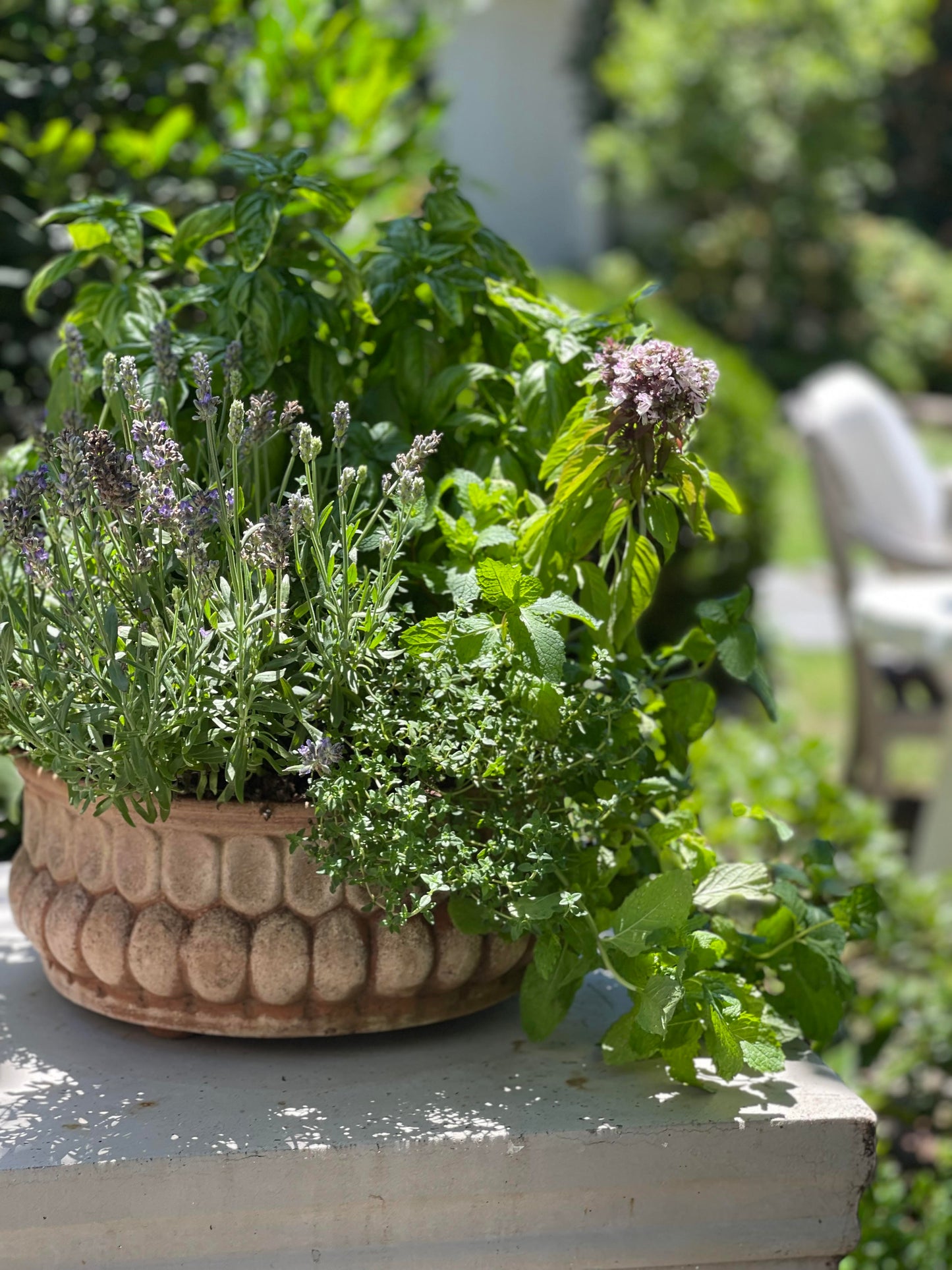 Pattern Aged Terra Cotta Bowl