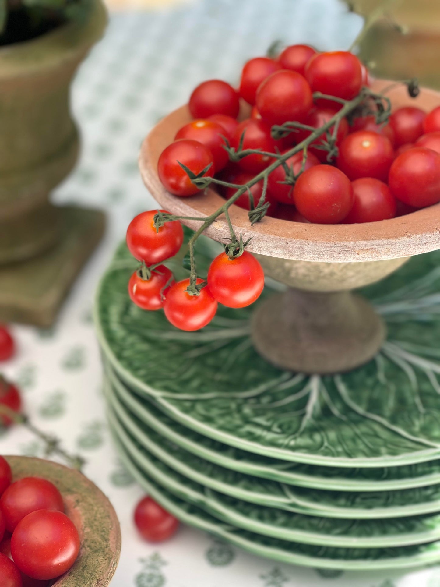 Fruit Bowl - medium