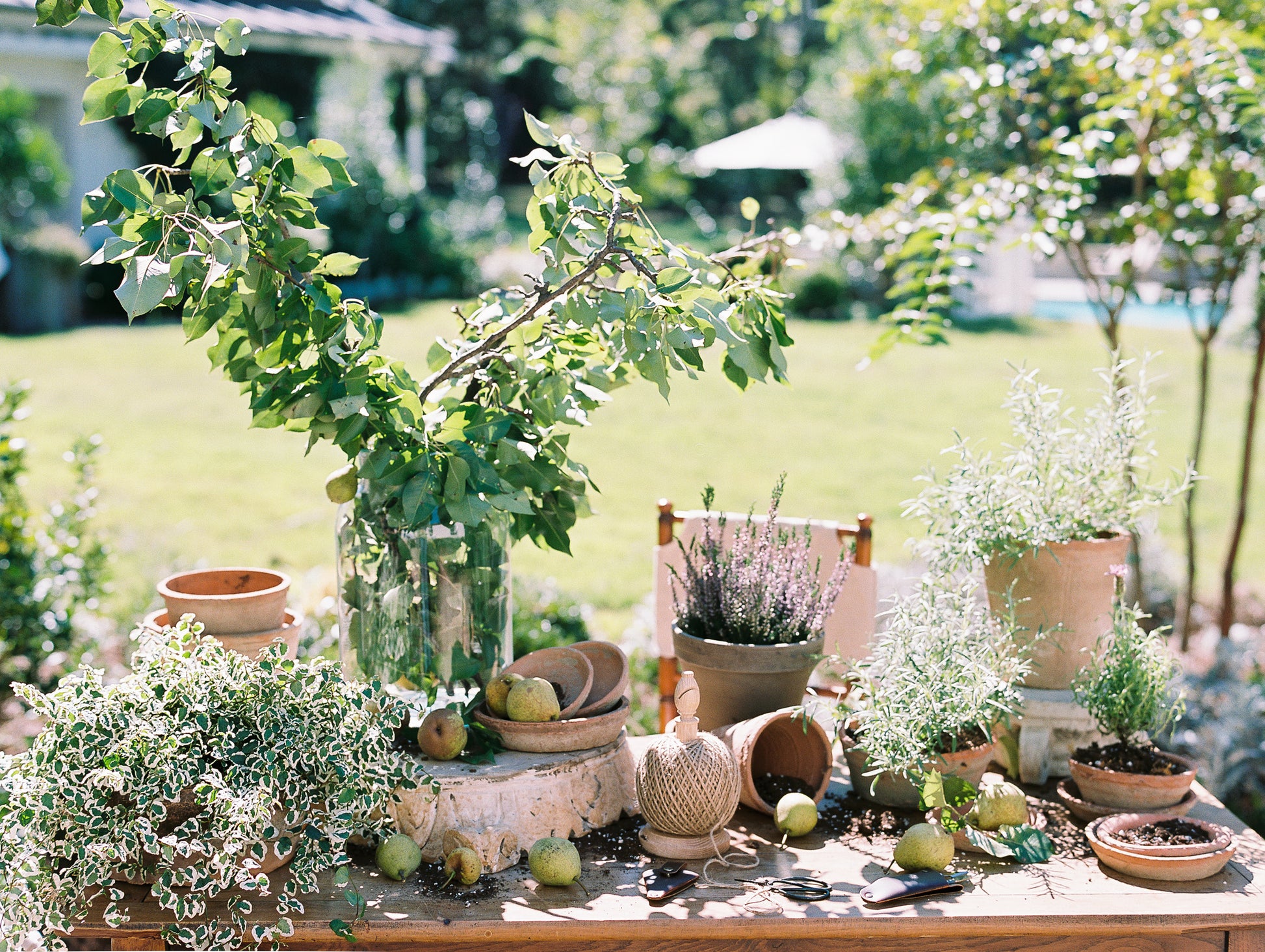 Bishop Twine Stand in Oak - Green Garden Twine