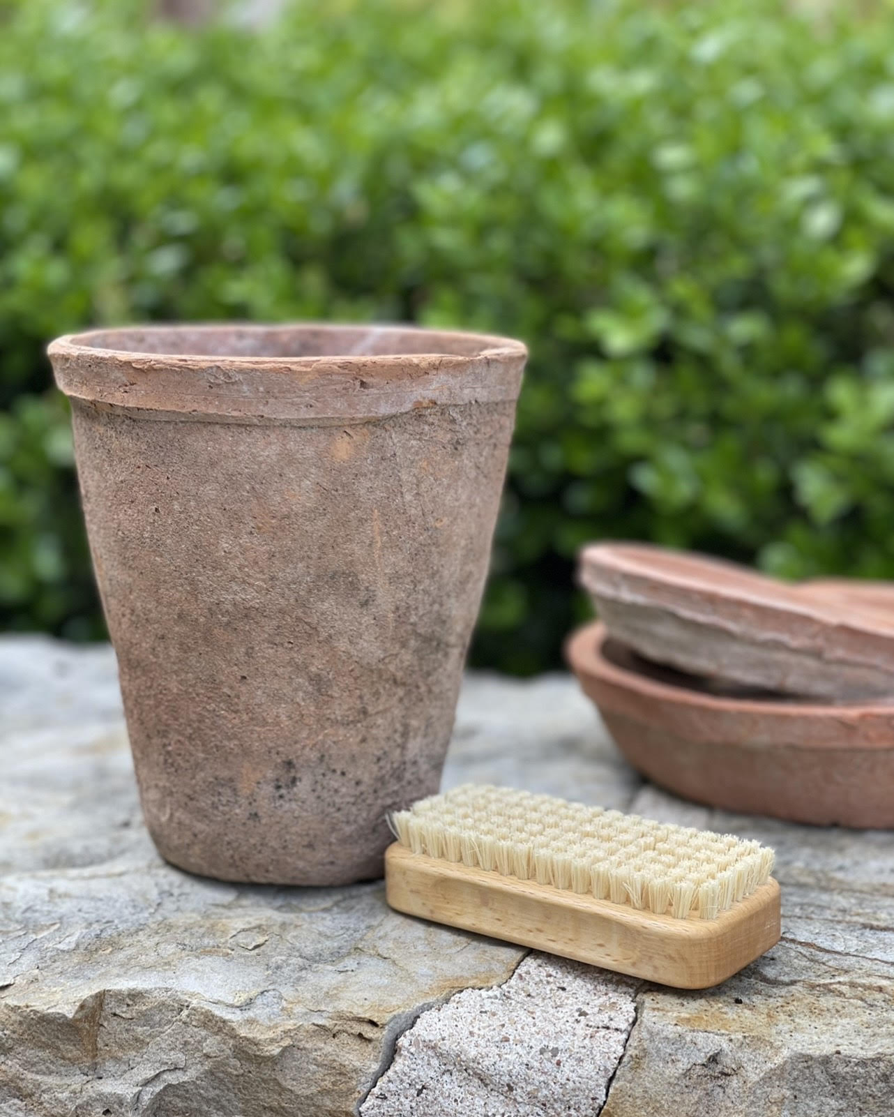 Gardener Nail Brush