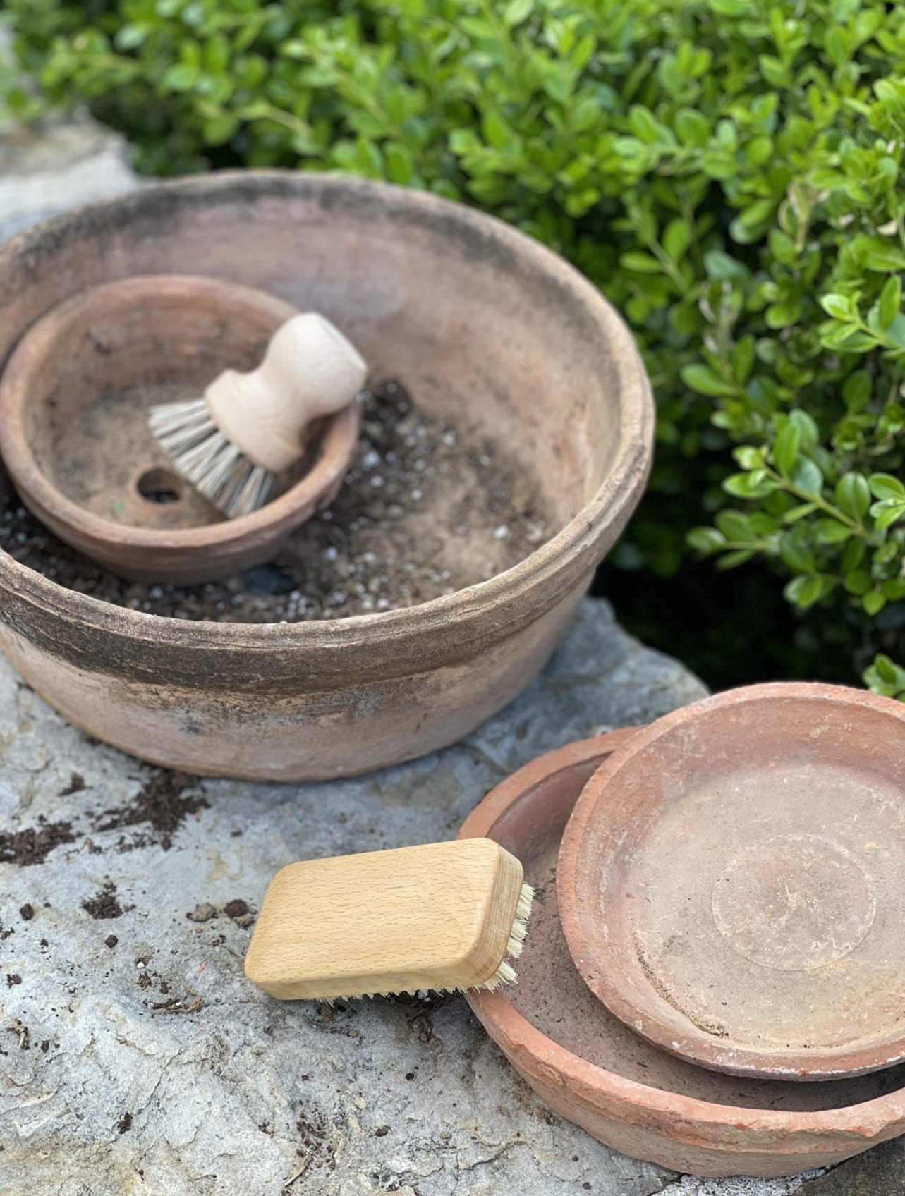 Gardener Nail Brush