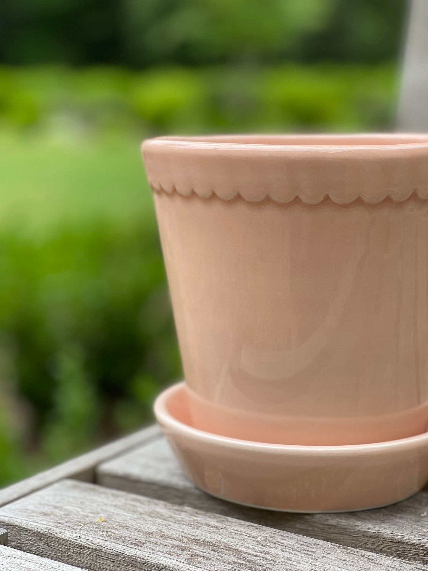 Peach Helena Scallop Glazed pot - Small