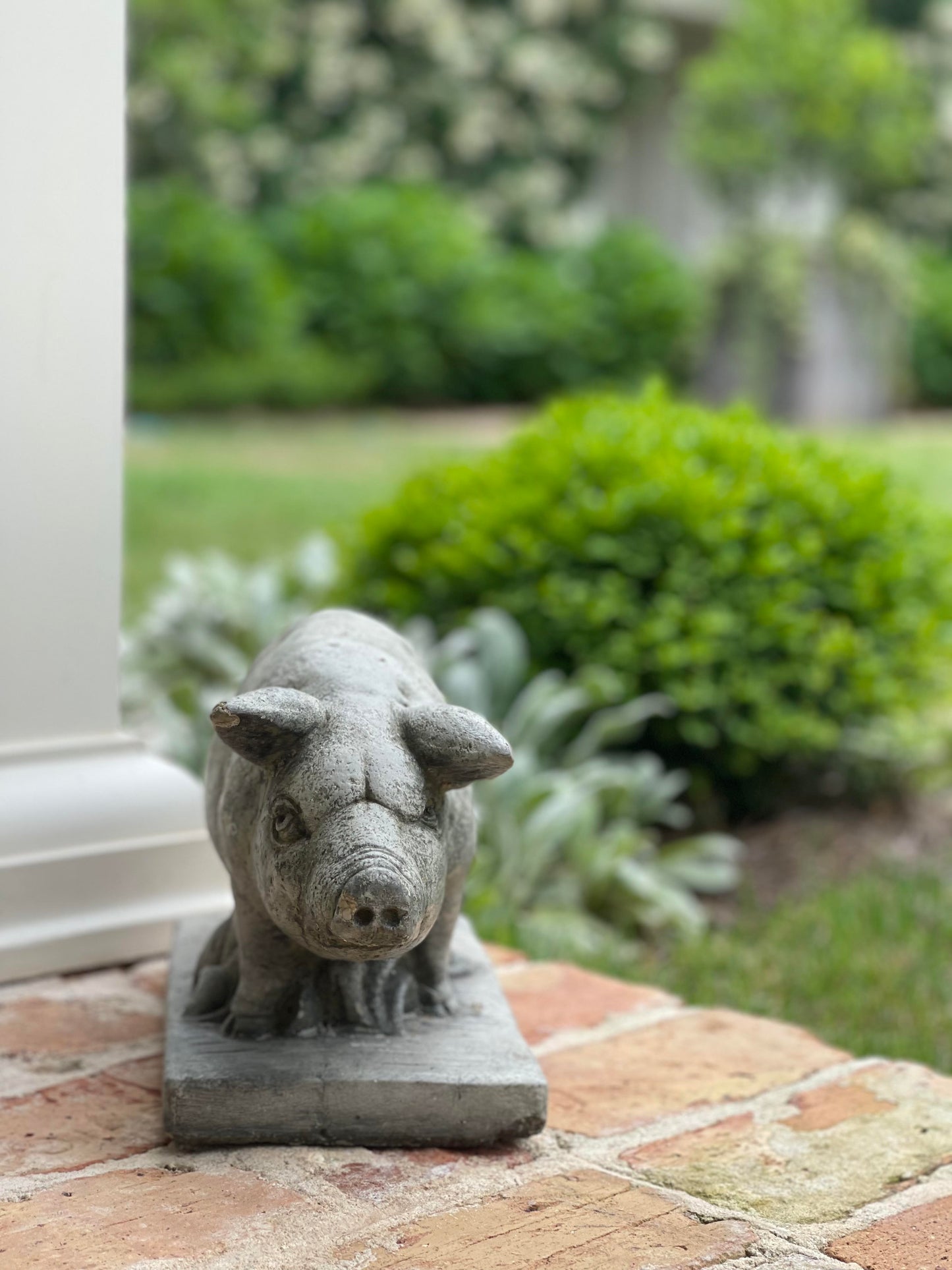 Concrete Pig Statue