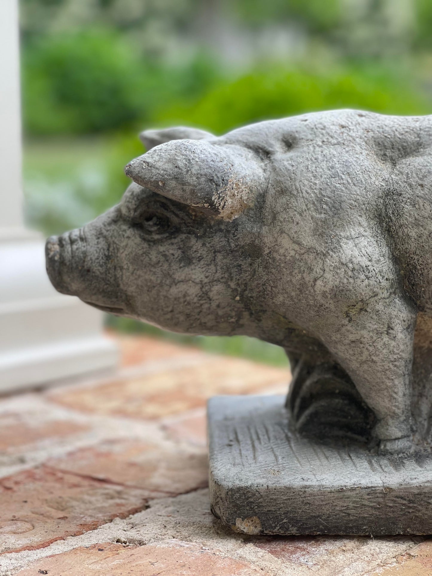 Concrete Pig Statue