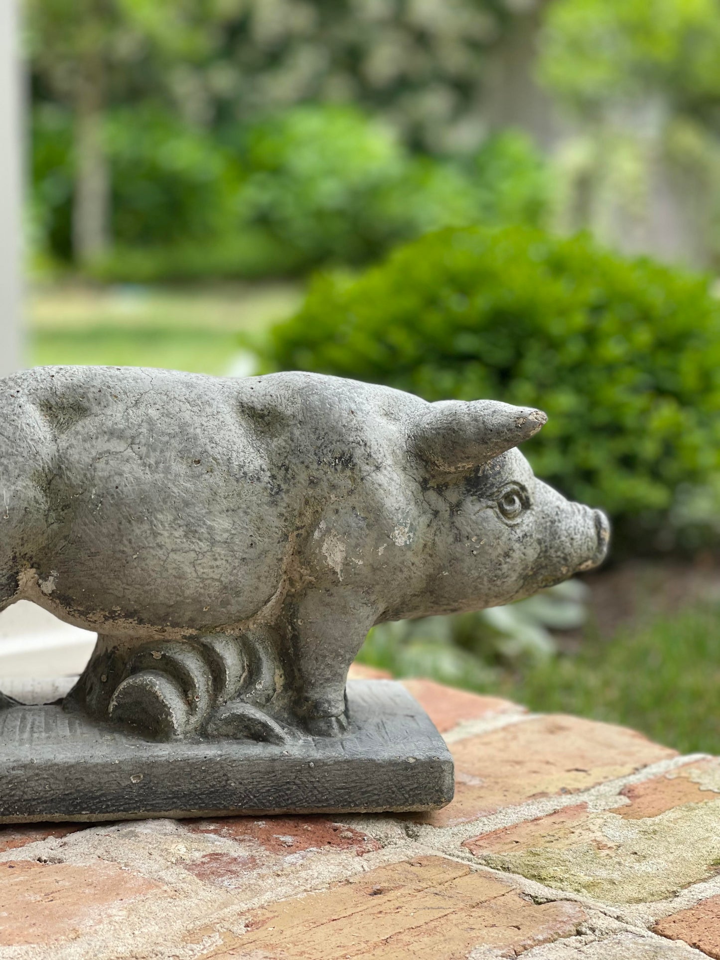 Concrete Pig Statue