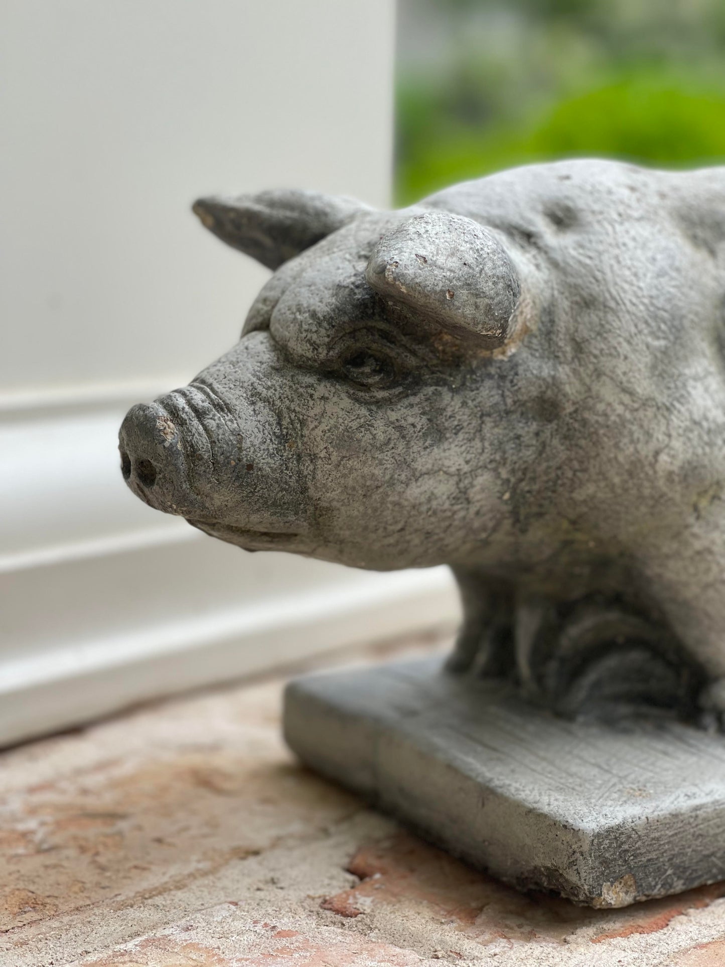 Concrete Pig Statue