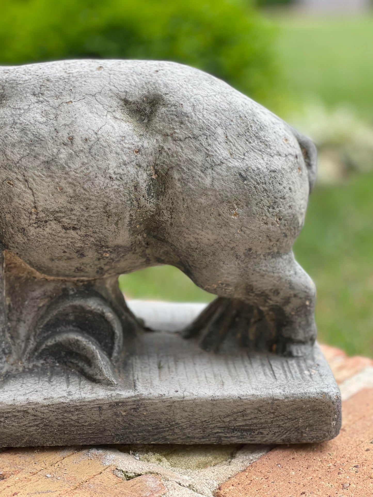 Concrete Pig Statue