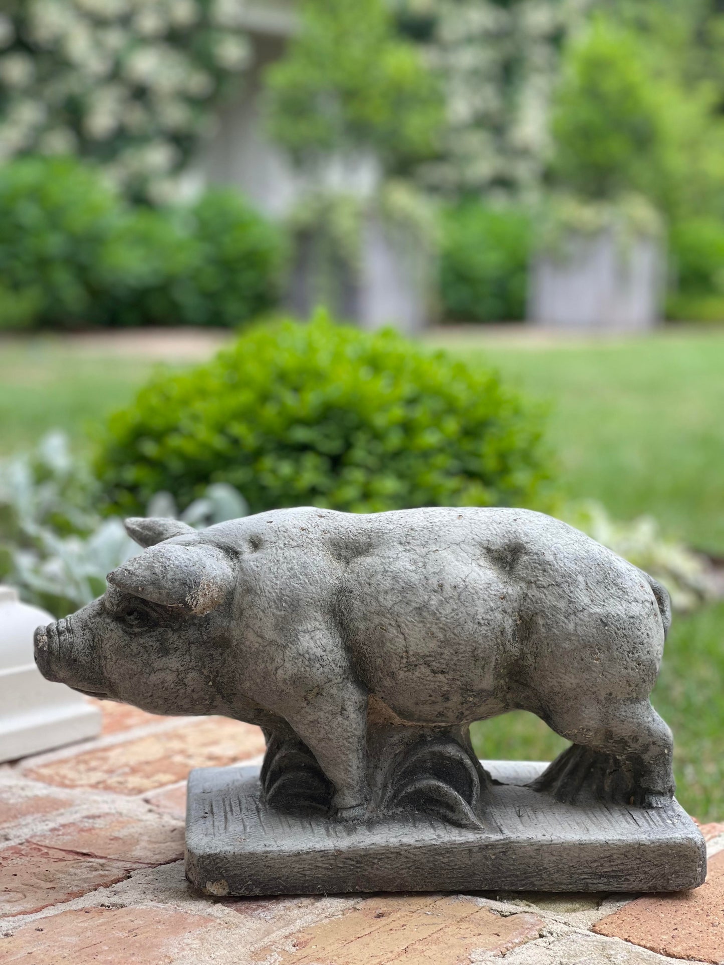 Concrete Pig Statue