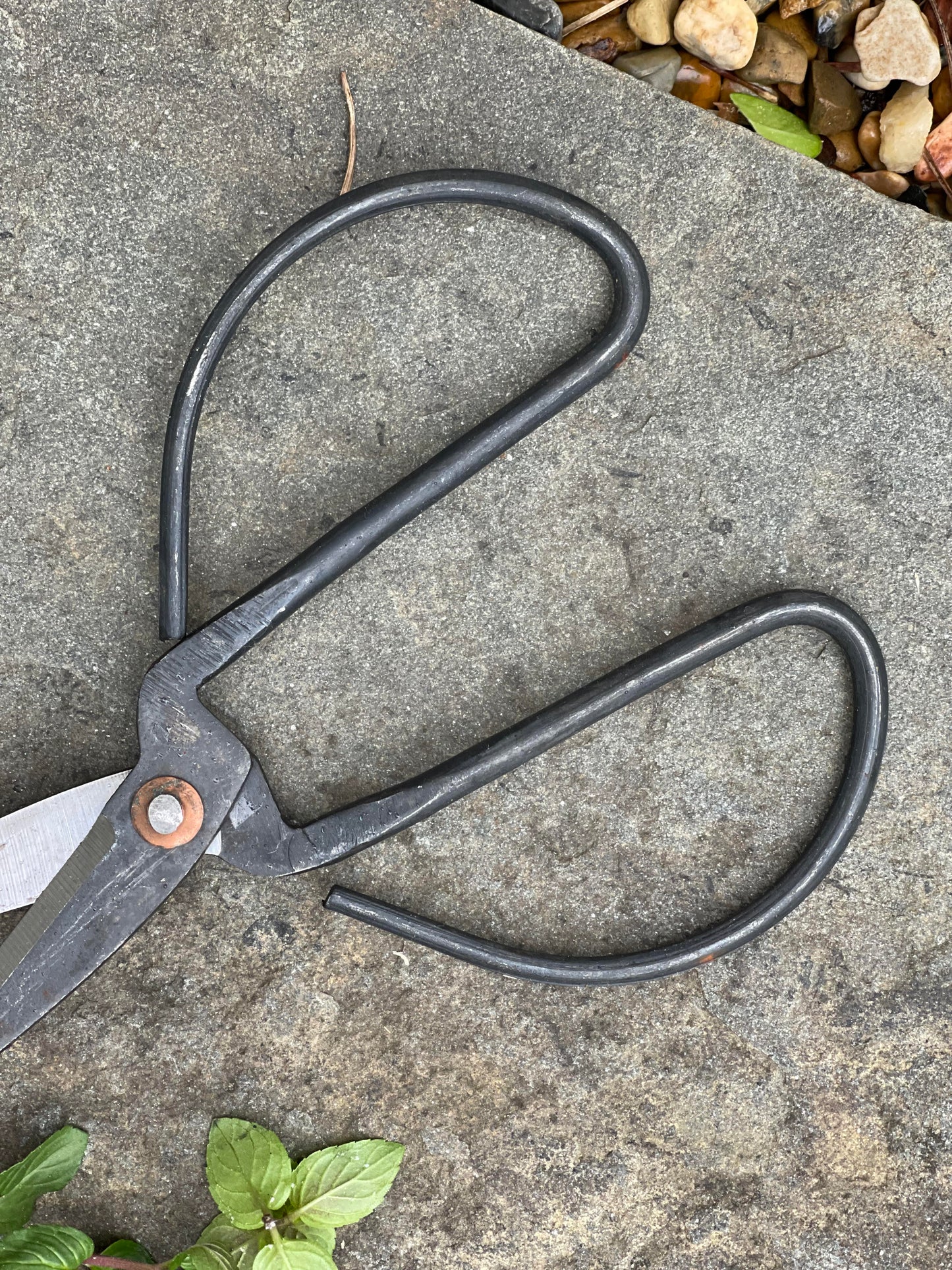 Iron Flower Snips