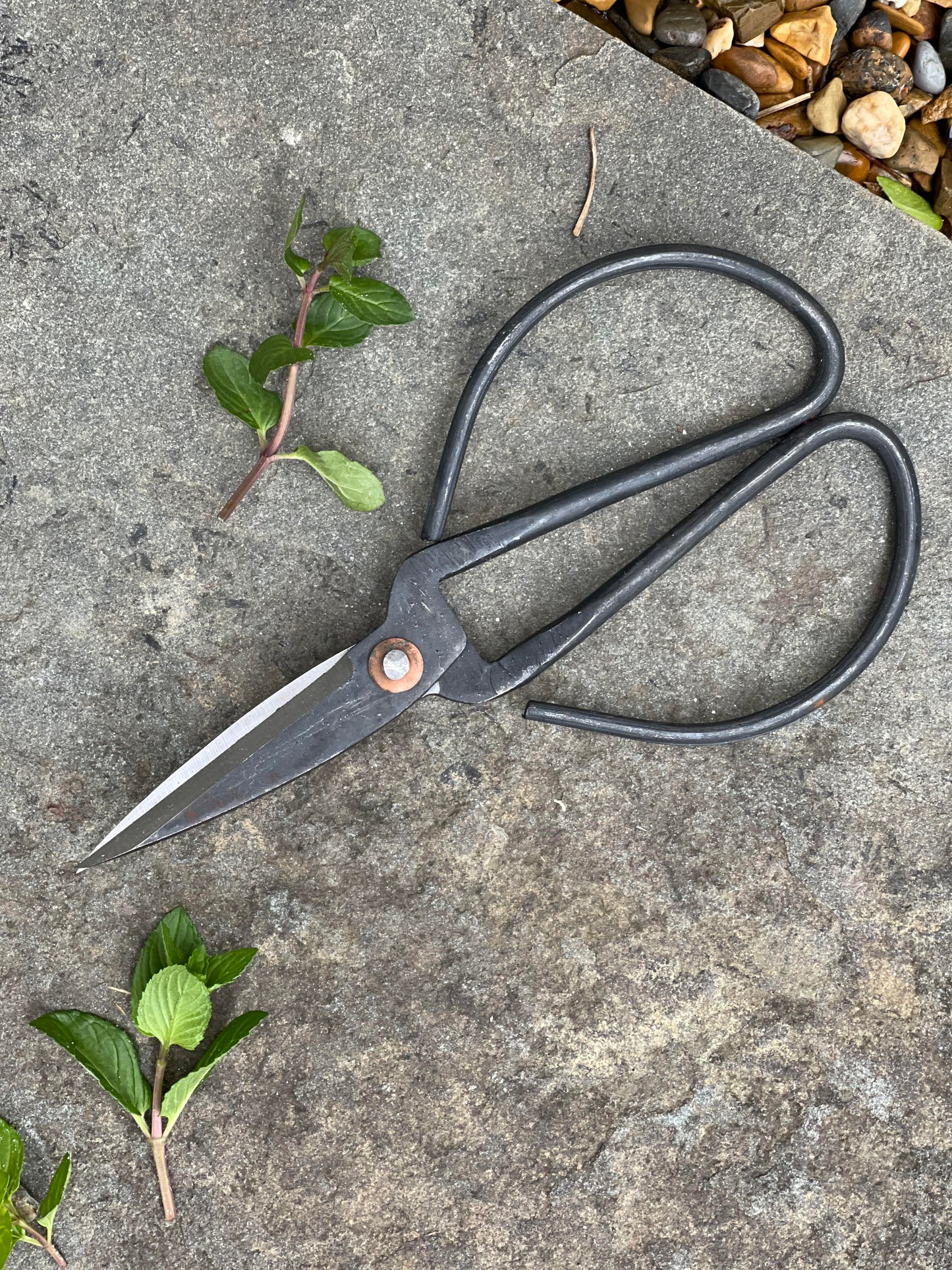 Iron Flower Snips