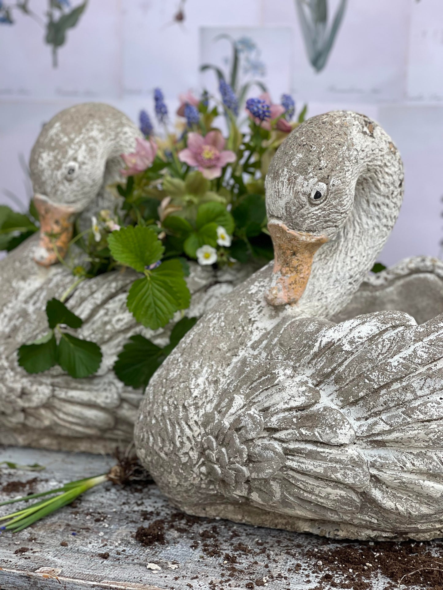 Antique European Swan Garden Planter