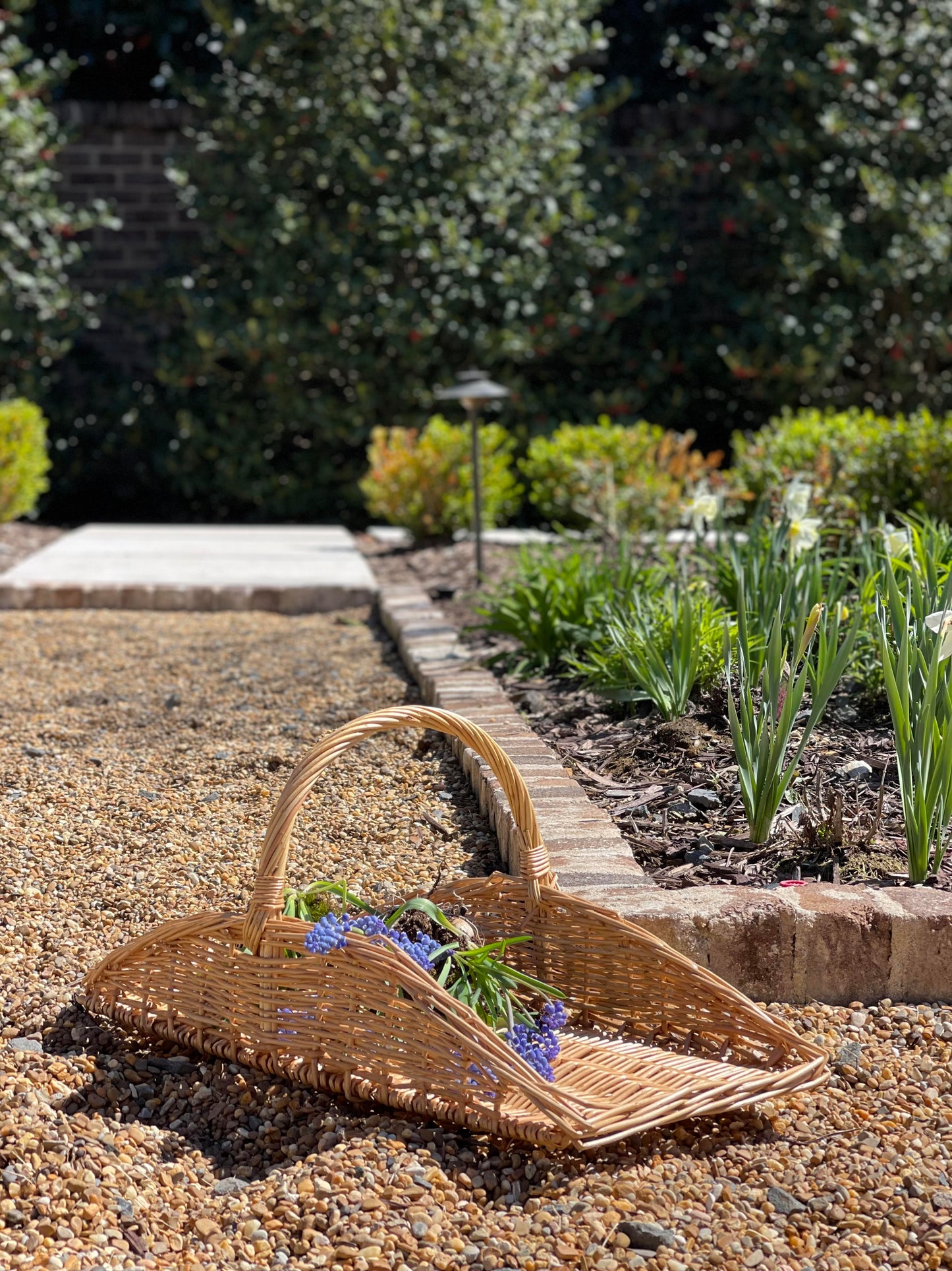 Herb & Flower Trug